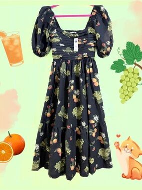 NWT A&F Fruit (Black Floral) Emerson Poplin Puff Sleeve Dress
